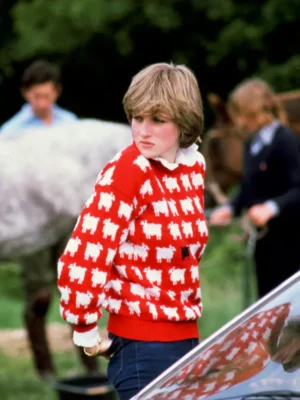 Princess Diana Black Sheep Sweater